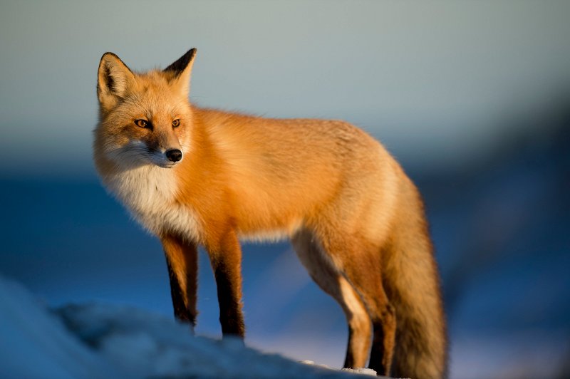 Photo with 70mm to 400mm focal length