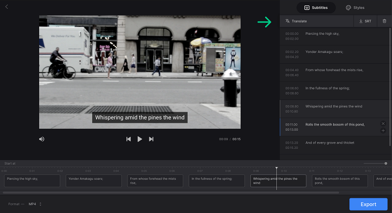 Translate subtitles