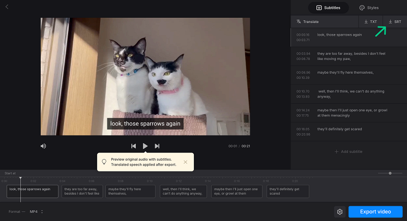 Translated subtitles