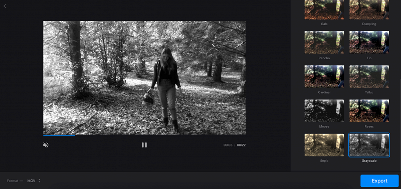Turn video to grayscale Convert video to grayscale