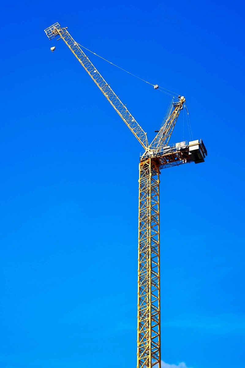 Vertical orientation image