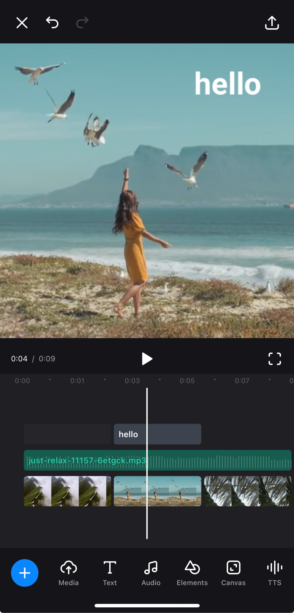 Add text to video app