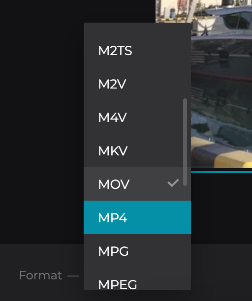 Select format to convert your cropped video