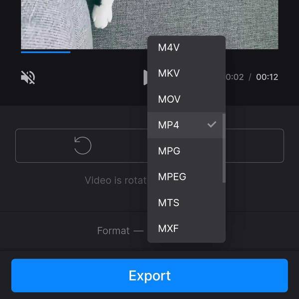 Convert upright video to another format Change format for upright video