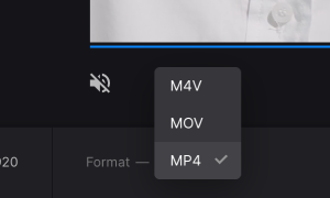 Change format for video with background blur