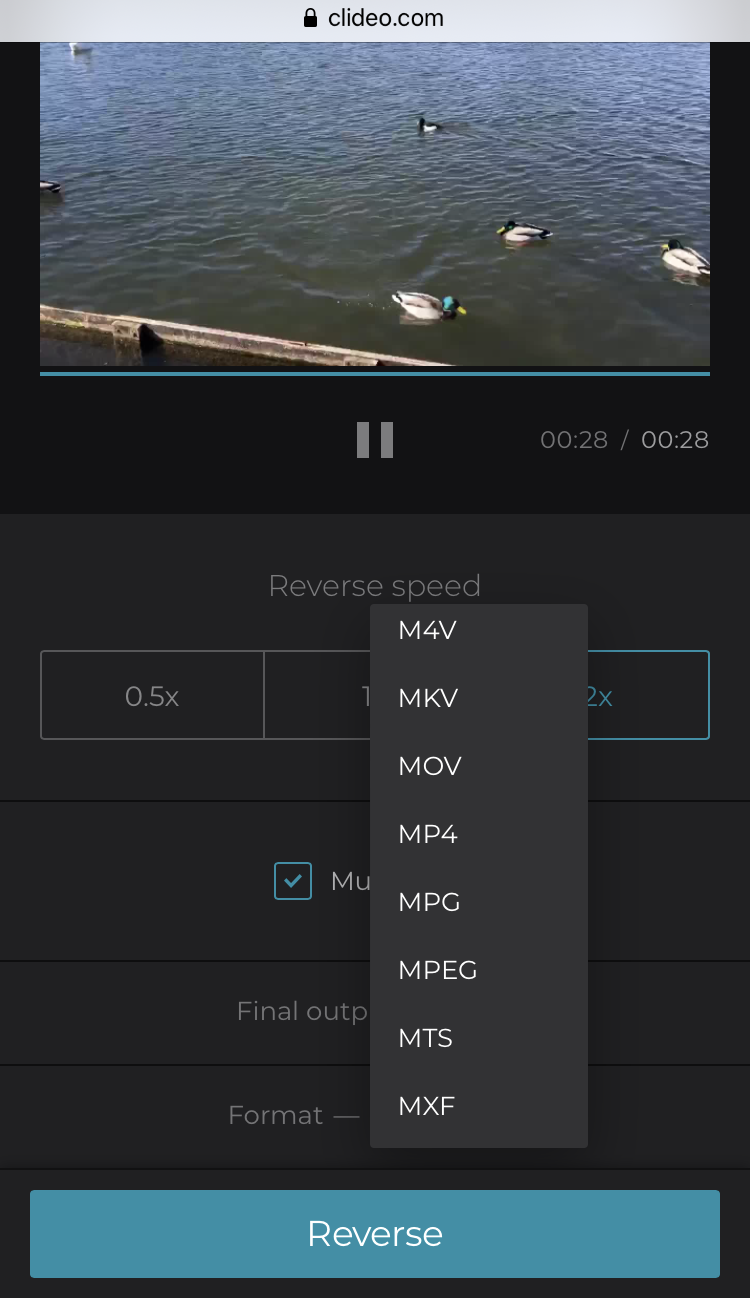 Change format of reversed iPhone video