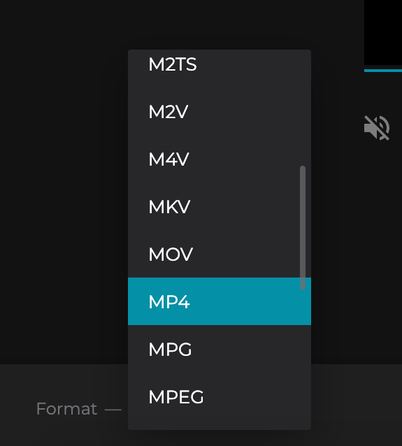 Convert your flipped video to another format