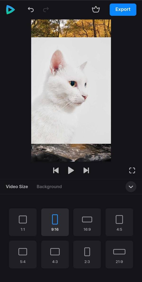 Change size for TikTok video with picture