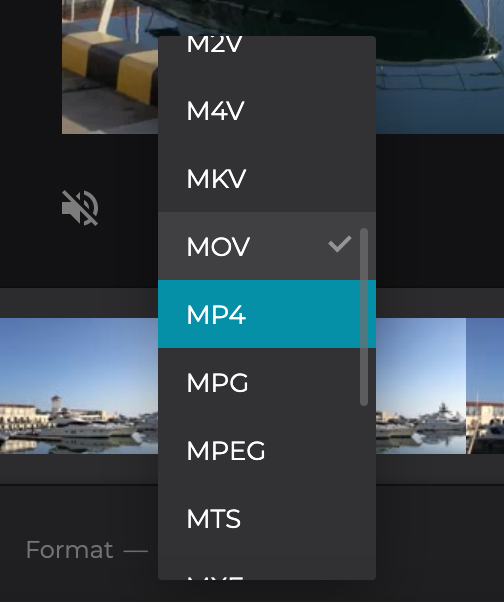 Choose an output format for your cut video