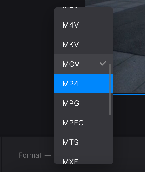 Change format of video if it is not turned to GIF