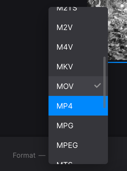 Convert grayscale video Change format of grayscale video