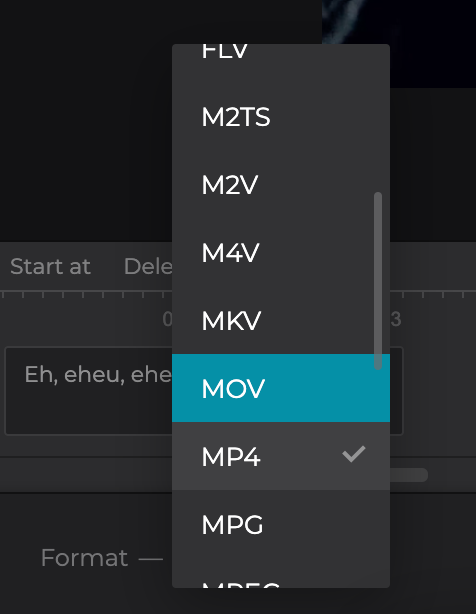 Convert MP4 with SRT Change format of MP4 with SRT