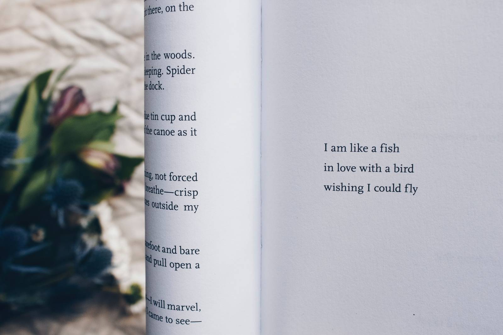 Convert poetry to video