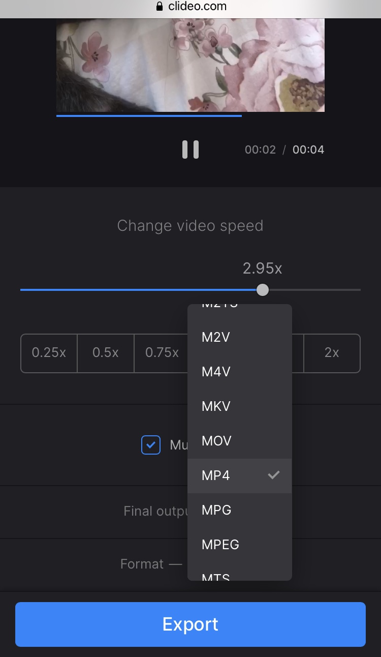 Change format of slowed down TikTok video
