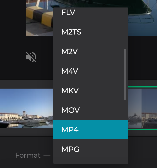 Change format of trimmed video on Samsung