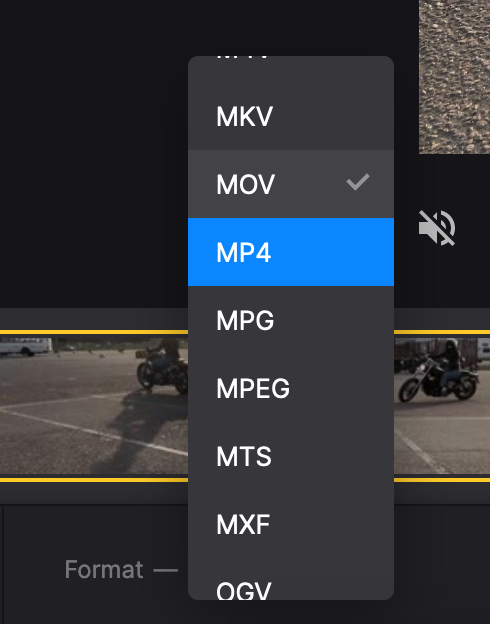Change format of Twitter to MP4