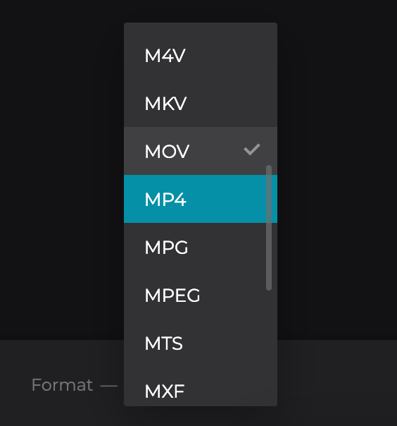 Change format of video with vignette