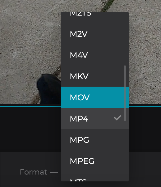 Change format of video without black bars