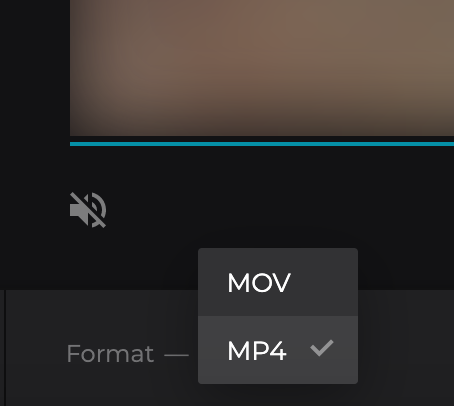 Change format of Vimeo video for Instagram Convert Vimeo video for Instagram