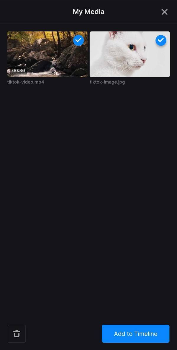 Files to add a picture to TikTok