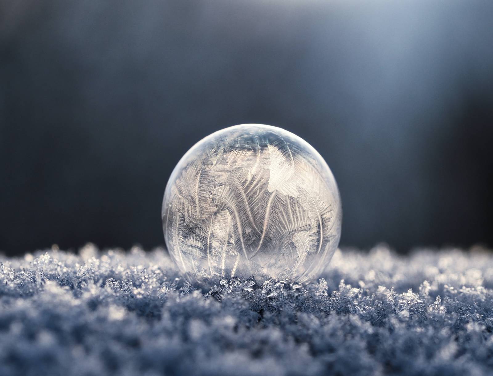 Macro photography picture with frozen water