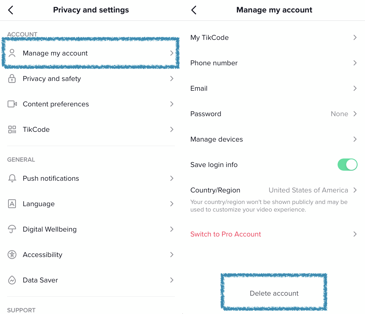 Click Delete Account on TikTok's menu