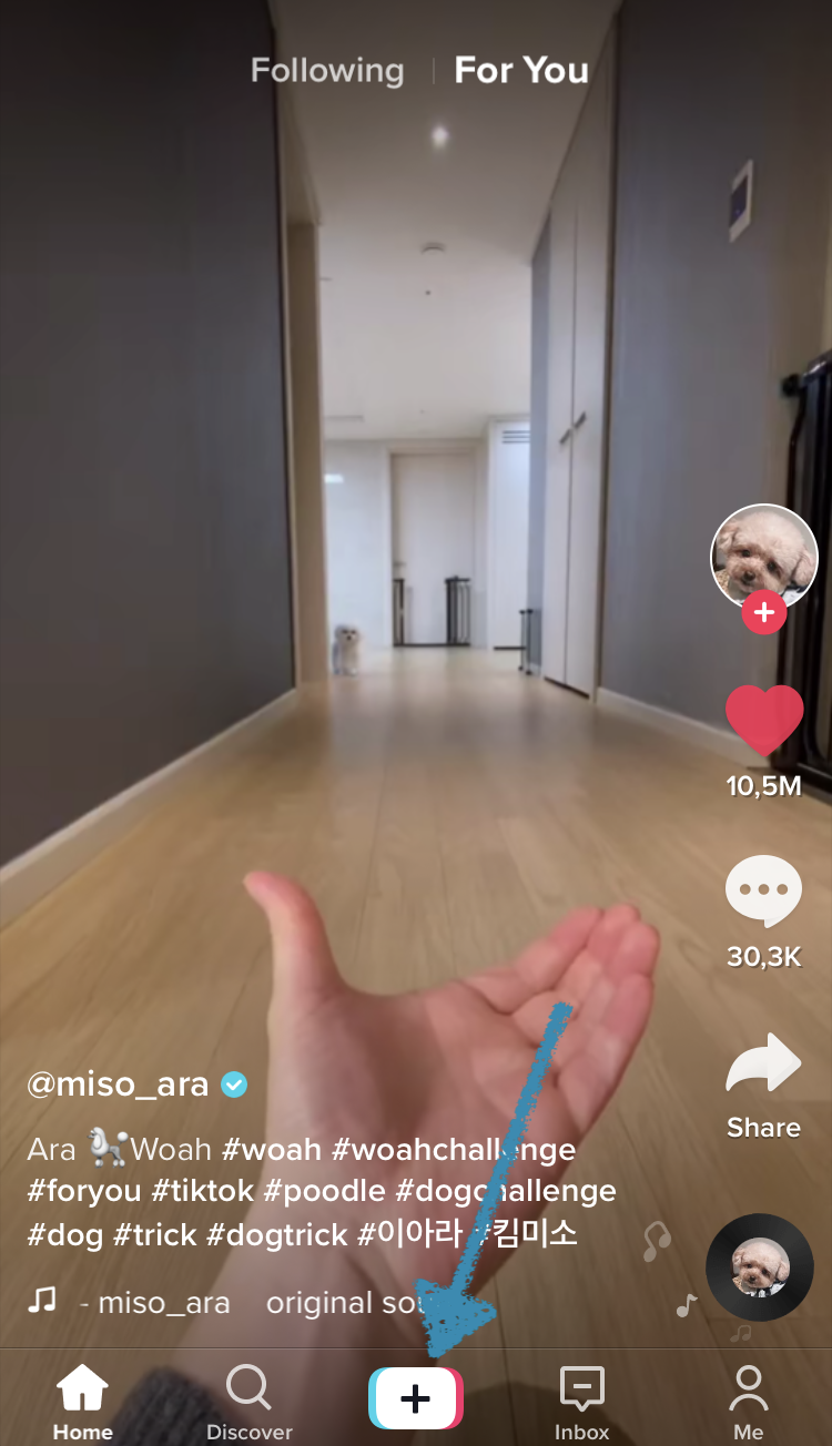 Record or upload a video to TikTok