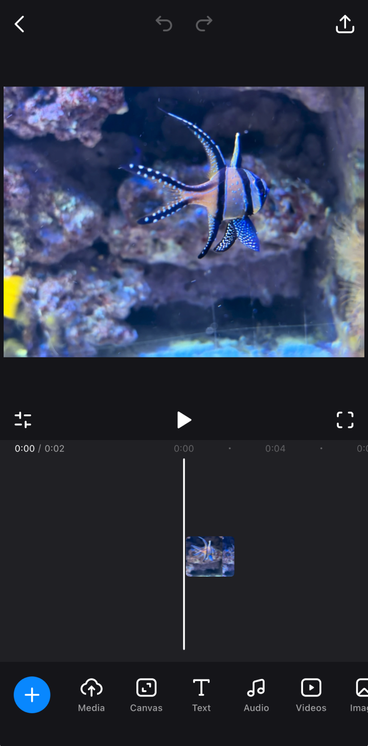 Live photo as video