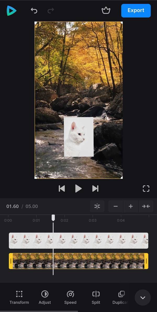 Resize picture for TikTok video