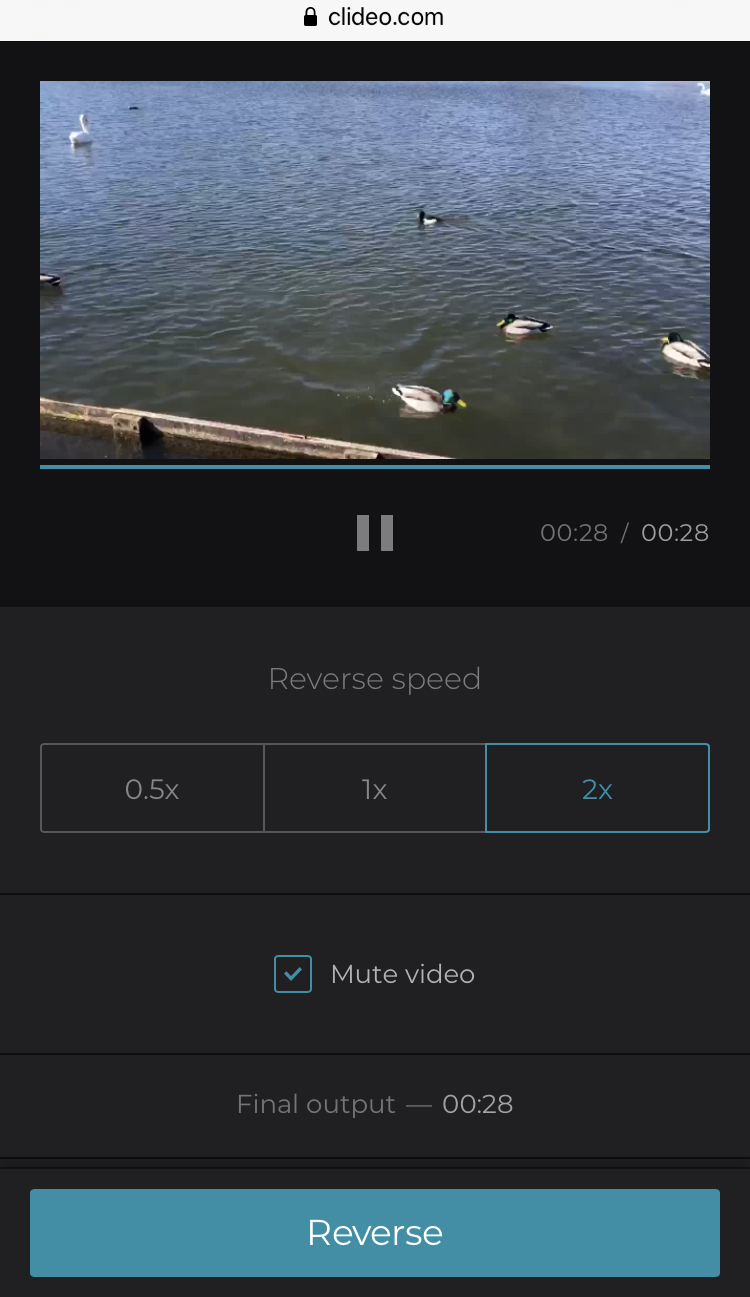 Reverse video on iPhone with one click
