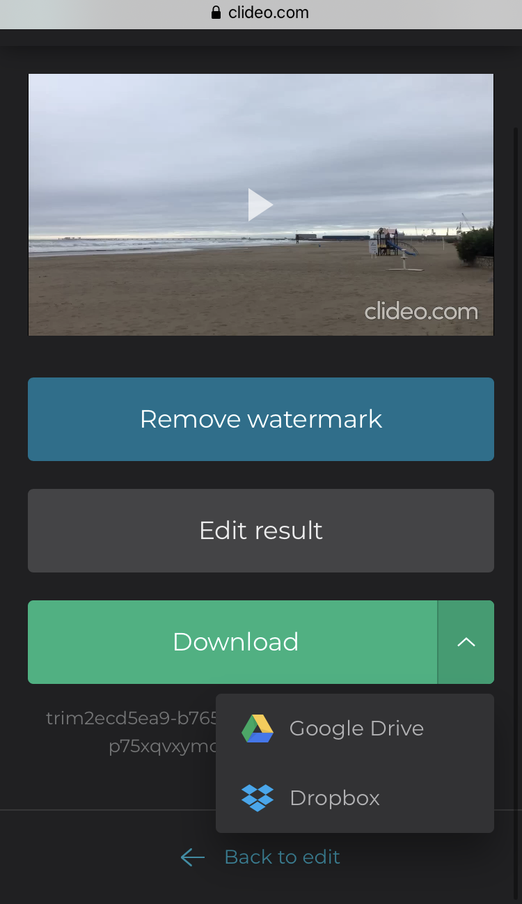 Download the flipped and mirrored video to iPhone