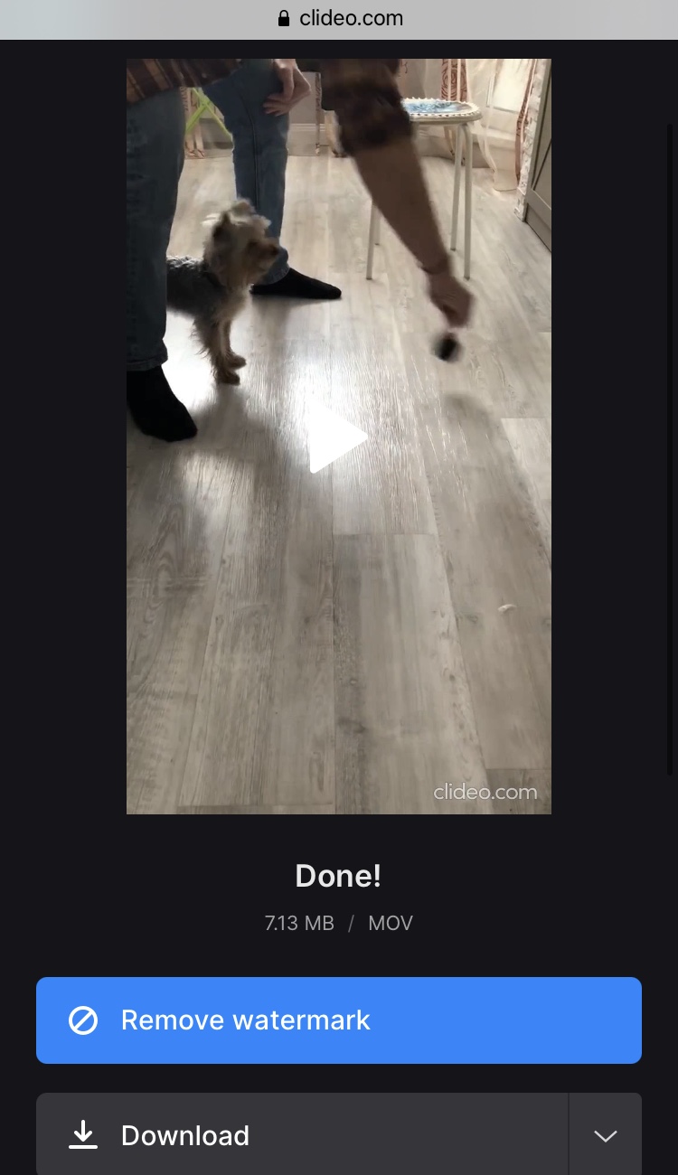 Download reversed TikTok video with Clideo