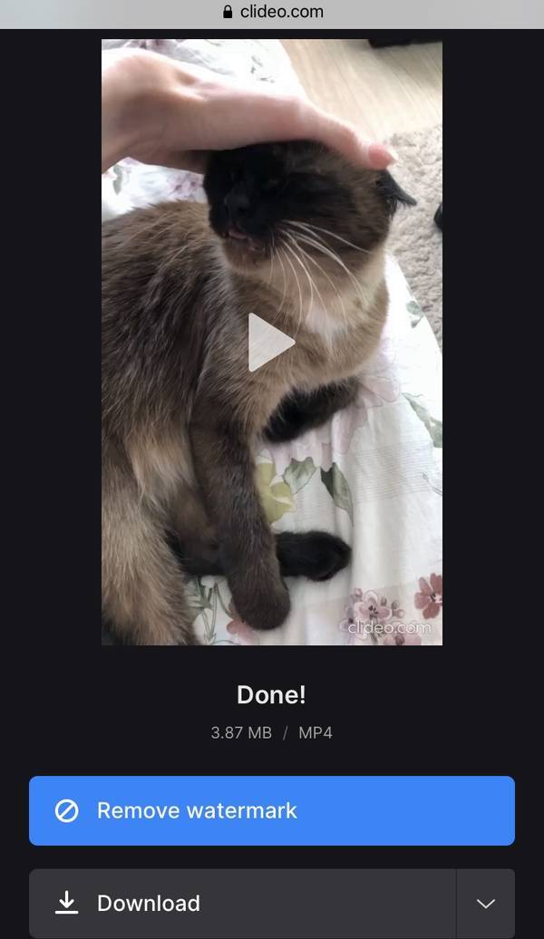 Save slow mo video on iPhone