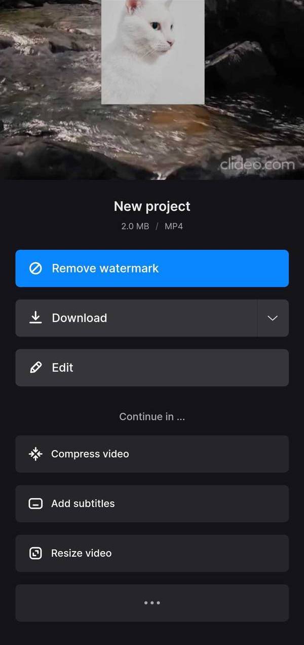 Save TikTok video with picture