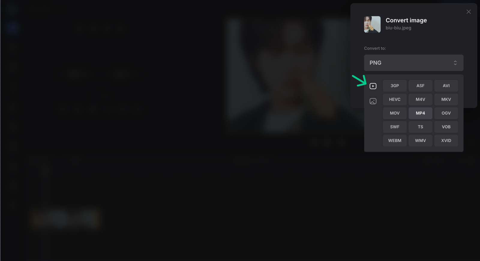Select format to convert image to video