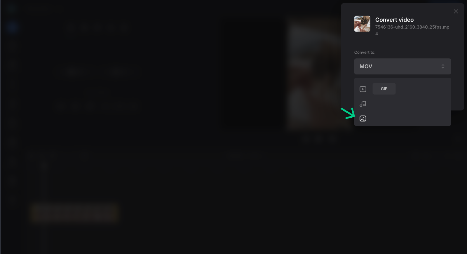 Convert video to GIF image