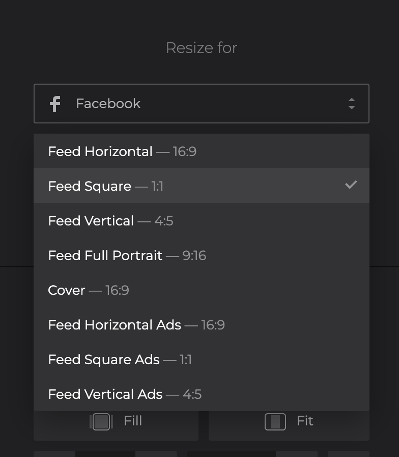Choose a preset to resize video