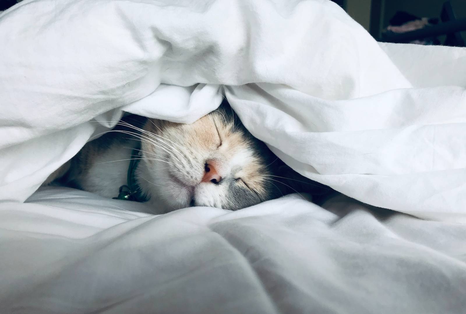 Sleep video ASMR