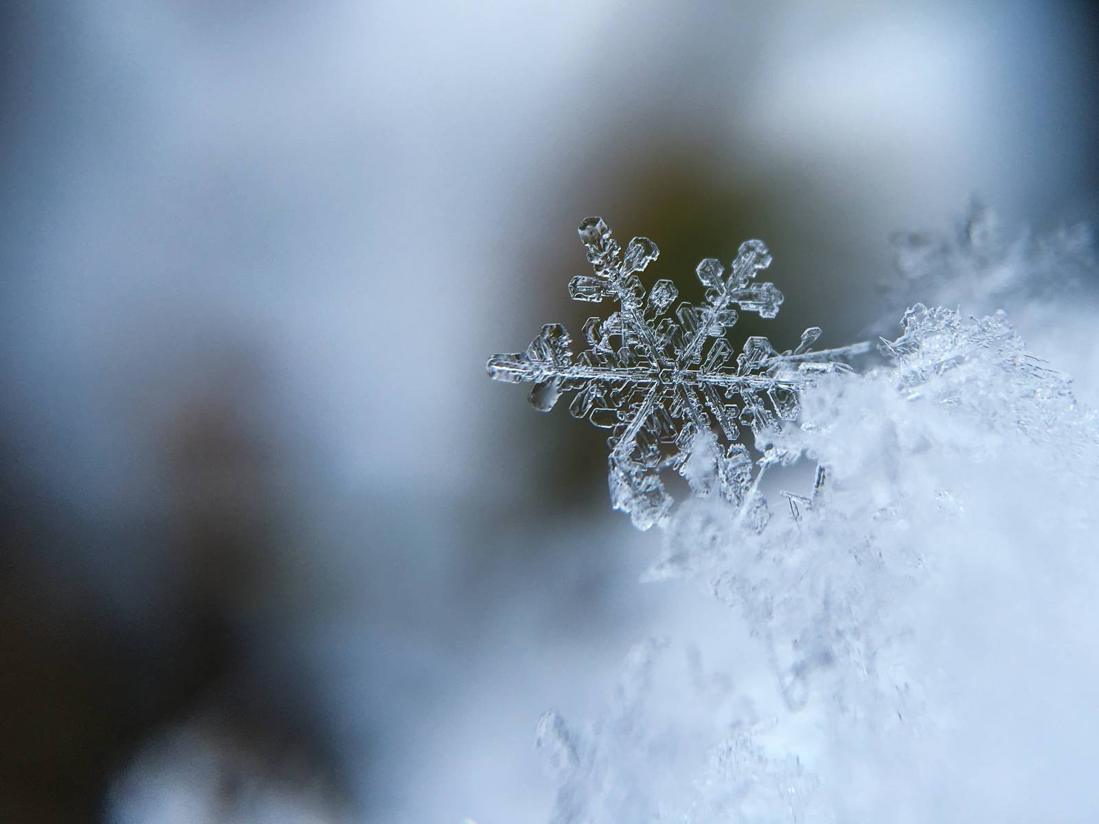 Macro photography picture with snowflake