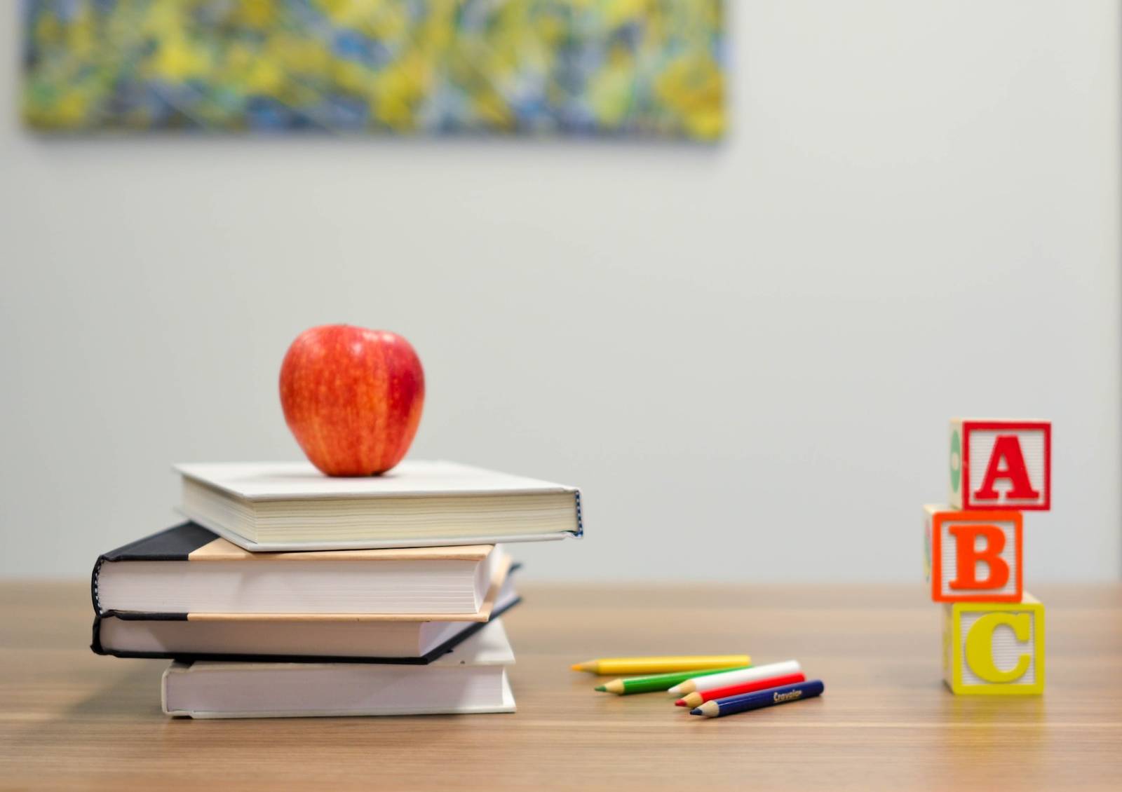 Sources of learning and video education