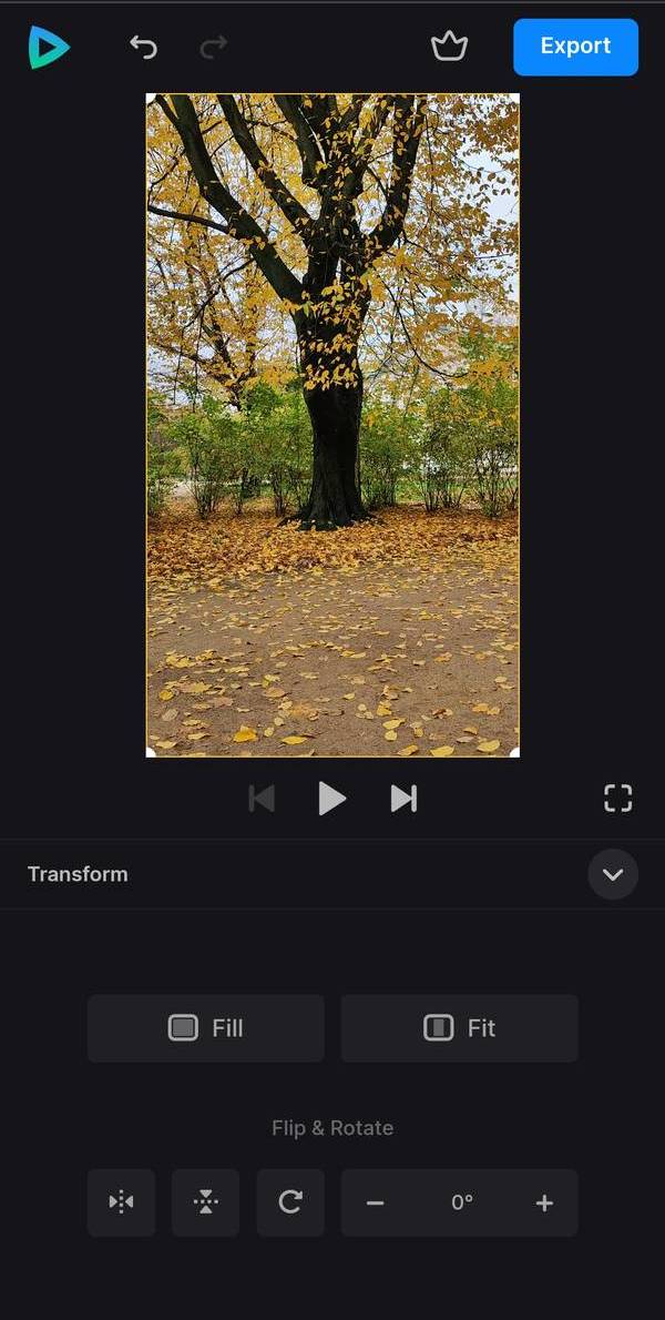 Transform in Android video editor