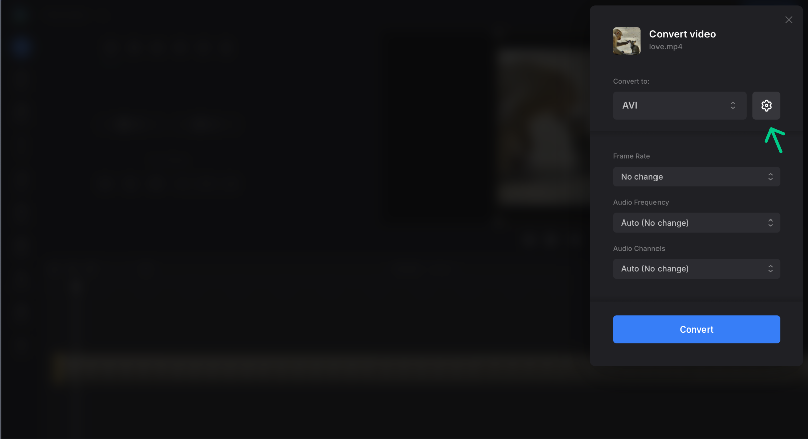 Video converter settings
