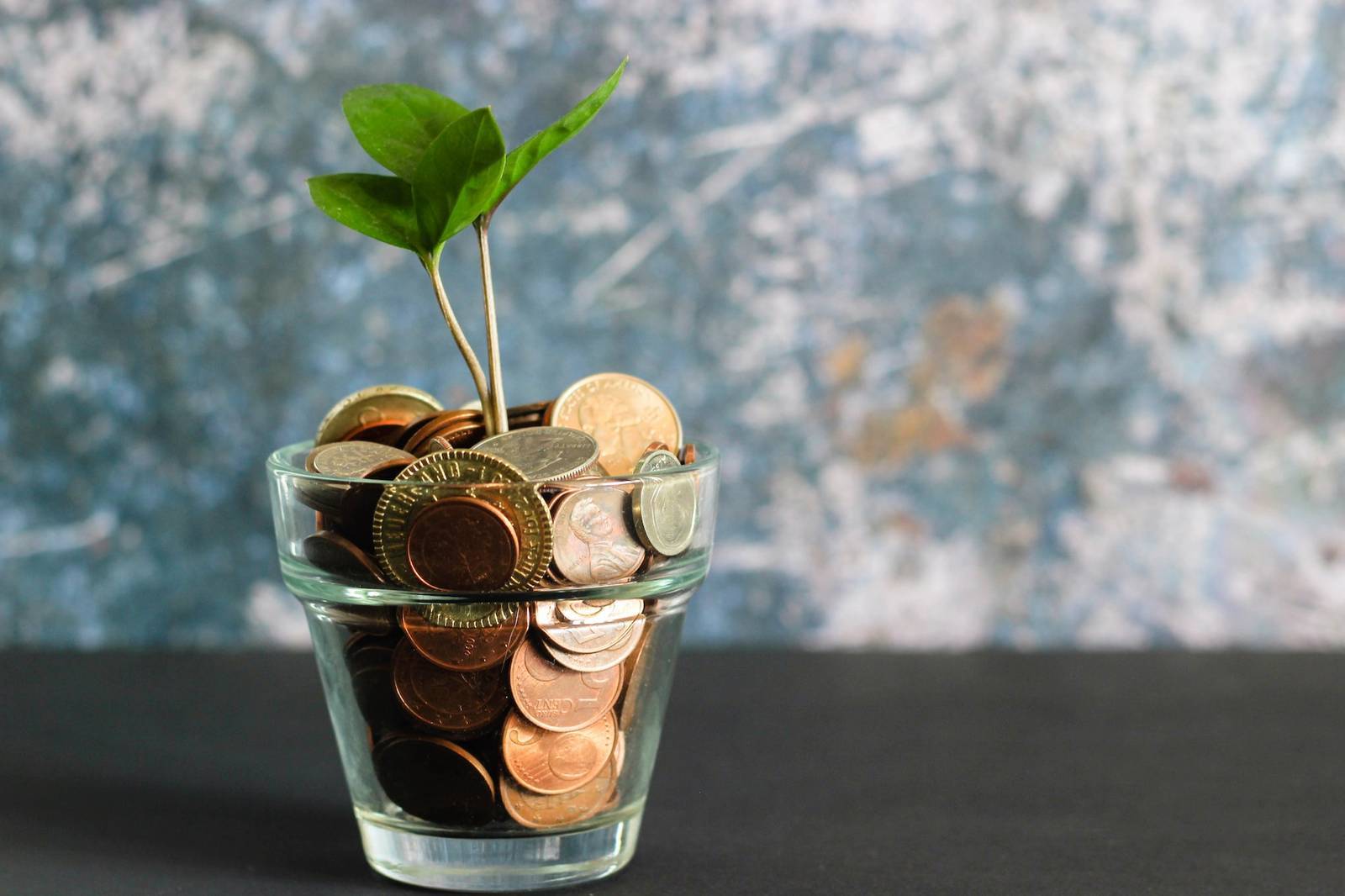 Vlogging income sources
