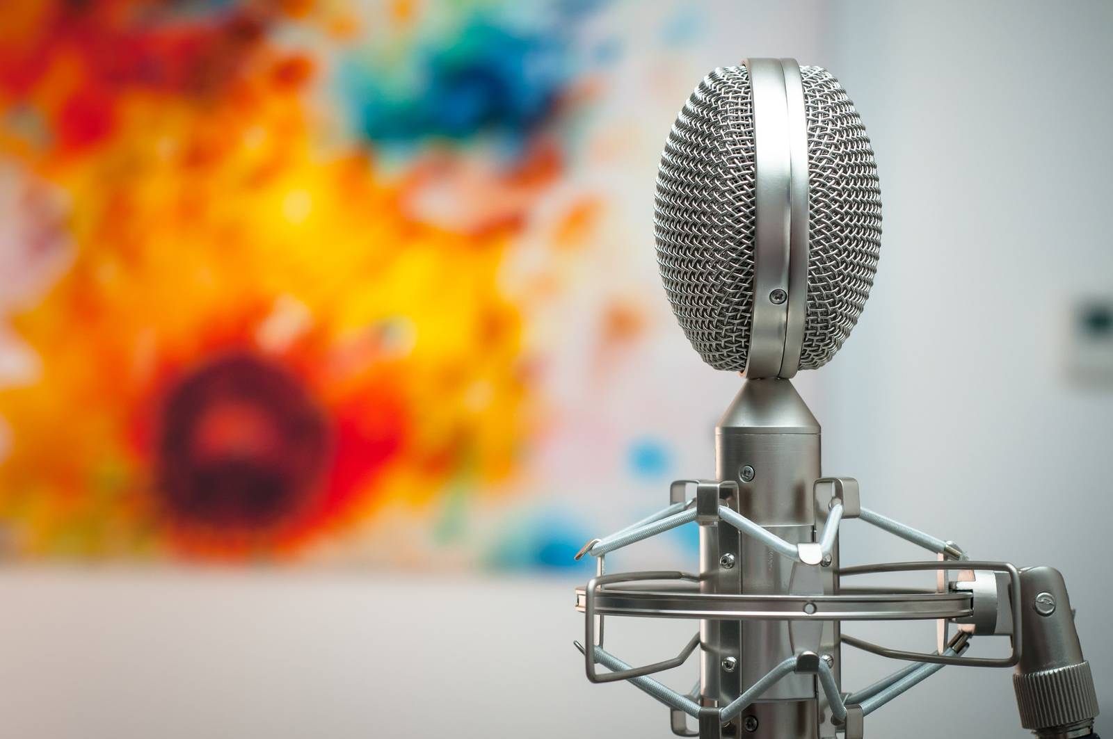 Vlogging kit microphone